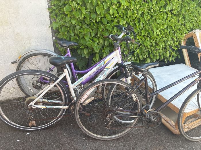 Bikes Adult