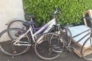 Bikes Adult