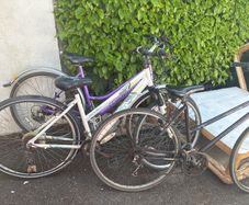 Bikes Adult