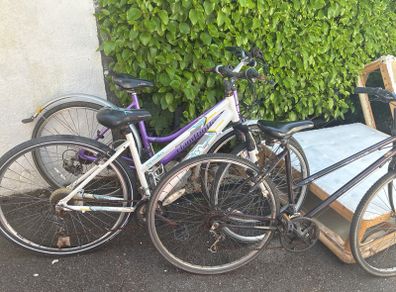 Bikes Adult