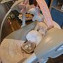 Baby Swing Image 2
