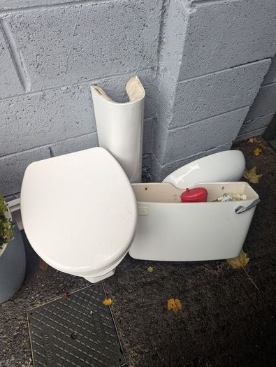 Cloakroom sink and toilet free
