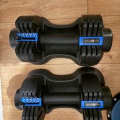 Pair of adjustable 11kg dumbbells