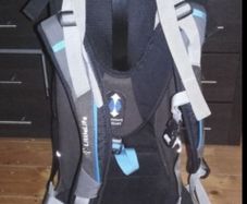 LittleLife child Backpack carrier