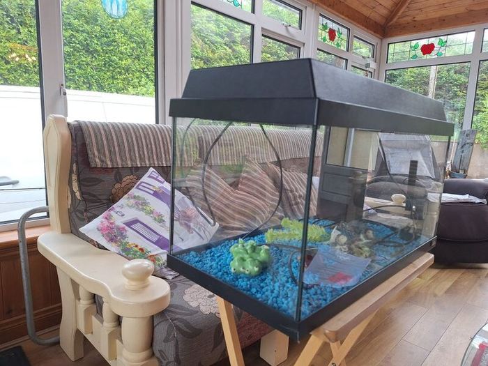 JUWEL Aquarium Fish Tank