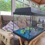 JUWEL Aquarium Fish Tank Image 2