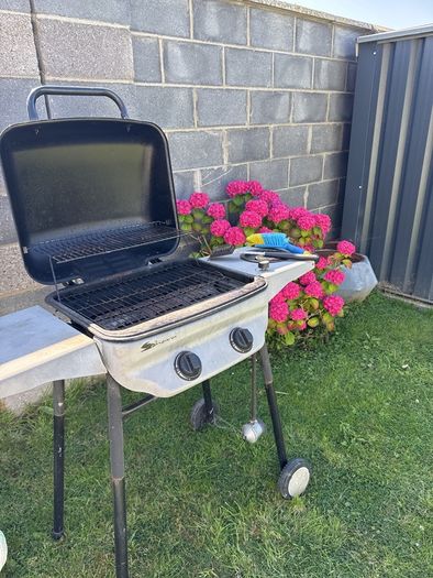 gas bbq