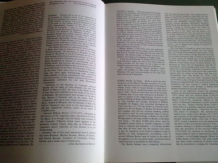 Irish Families Their names arms & origins Ireland Genealogy History