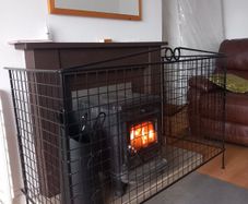Fireplace guard