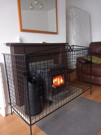 Fireplace guard