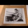 1977 The Incredible Hulk Press Photos Image 3