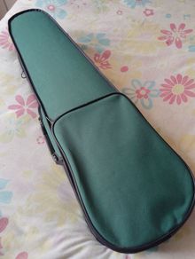 3/4 Antoni Violin , never used
