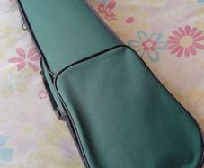 3/4 Antoni Violin , never used