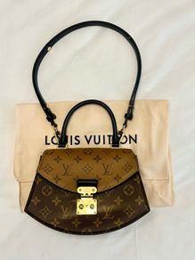 Louis Vuitton Tilsitt Bag