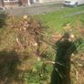 Free timber Image 3