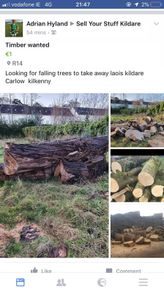 firewood