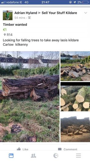firewood