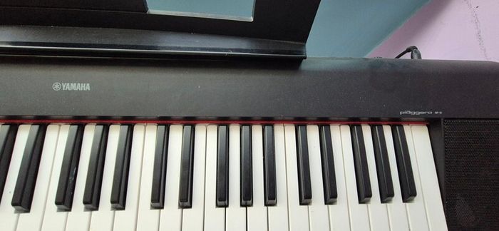 Yamaha Piaggero NP-12 Keyboard + Stand + Adapter