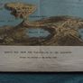 Sea of Marmora - Positions of the British Fleet - Illustrated London News 1878 Image 7