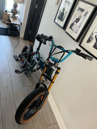 Fiido M1 Pro ebike