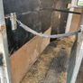 horse box Image 8