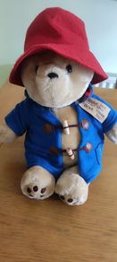 Paddington Bear  Designs 2024 Soft Toy Plush
