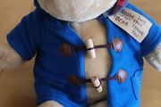 Paddington Bear  Designs 2024 Soft Toy Plush