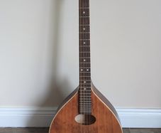 Octave Mandolin