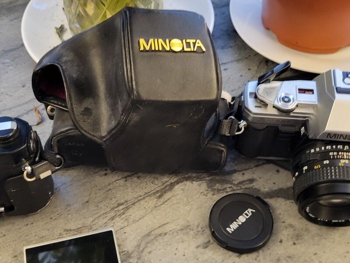 Large Camera Collection