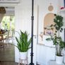 GVM DJ802-G Professional Heavy Duty Light Stand Image 5