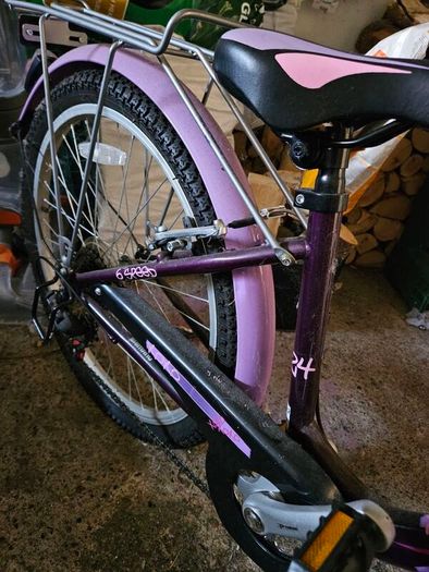 20" girls bike