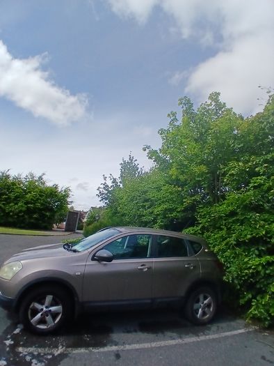 2007 Nissan Qashqai
