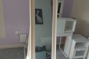 Ornate full length mirror