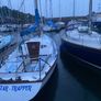 Trapper 28 Image 2