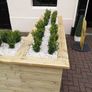 Box Hedging Image 10