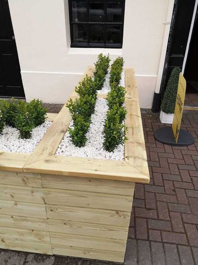 Box Hedging