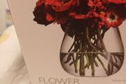 New  Boxed LSA Glass Vase