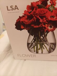New  Boxed LSA Glass Vase