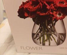 New  Boxed LSA Glass Vase