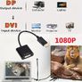 DP To DVI Adapter Cable Display Port To DVI Converter Supports Full HD 1080p (1920 x 1080) For Computer PC Graphics Cards Converter Male To Female For Monitor Projector Displays Image 3
