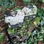 Concrete rabbit garden ornaments Image 3
