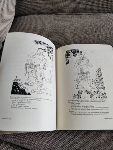 LIFE ARTS A Practical Guide to Total Being New Medicine and Ancient Wisdom by Evelyn de Smedt 1977 hardback in very good condition with some wear to the cover see all photos A4 size book 190 pages and illustrations FREE STANDARD POSTAGE INCLUDED