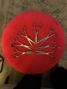 Hair Scissors - Professional Scissors