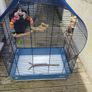 bird cage Image 2