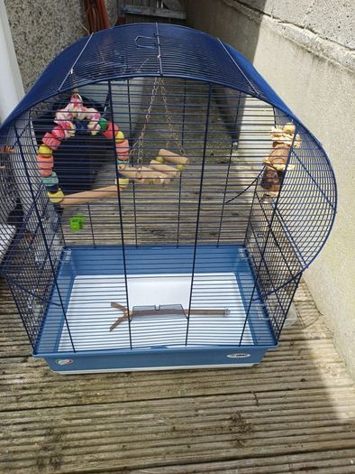 bird cage