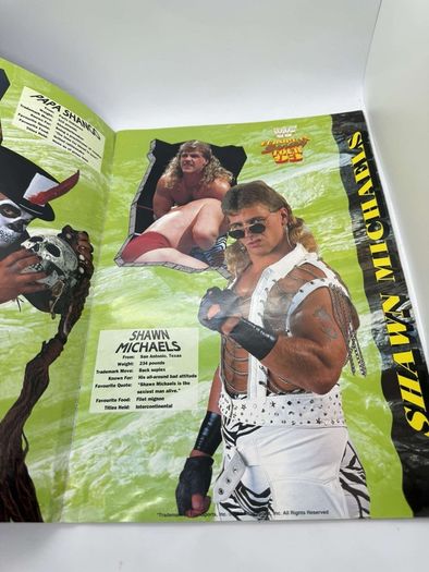 Wwe WWF European spring Tour 1993 Official souvenir Programme