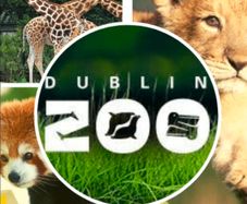 zoo