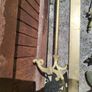 fire hearth surround and matching dogs with poker shovel and thongs Image 5