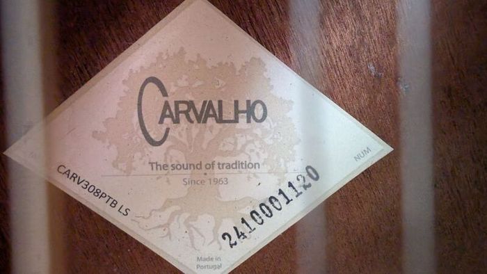 Carvalho PTB308 Bouzouki