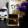 Nishane Hundred Silent Ways X | 100ml | Extrait de Parfum Image 7